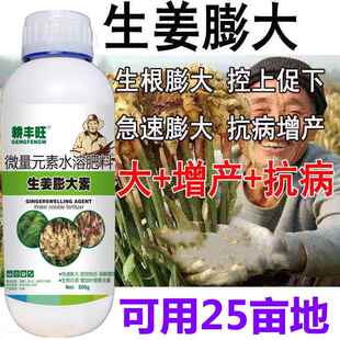 大姜生姜专用叶面肥膨大素膨大剂大姜膨大增产生根壮苗大姜肥料