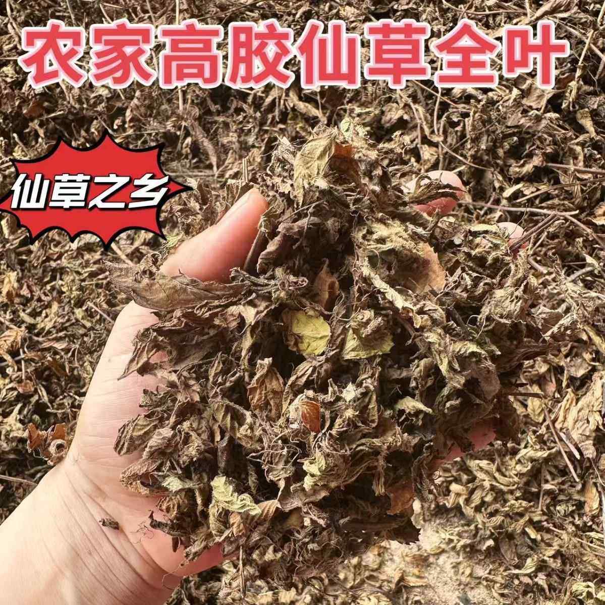 平远仙草纯叶子高胶质烧仙草干原料黑凉粉草叶子奶茶店广东凉茶,水产肉类/新鲜蔬果/熟食,其它,淘宝优惠券,粉丝福利购,淘宝优惠卷