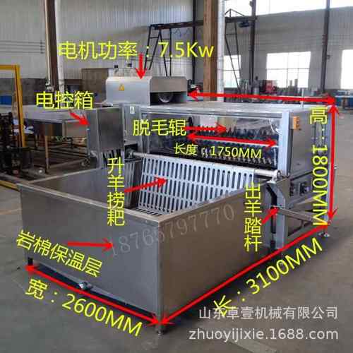 烫毛脱毛机羊脱毛机大型商羊ZY-YPMJ用杀山羊专用毛设备羊绵羊刨