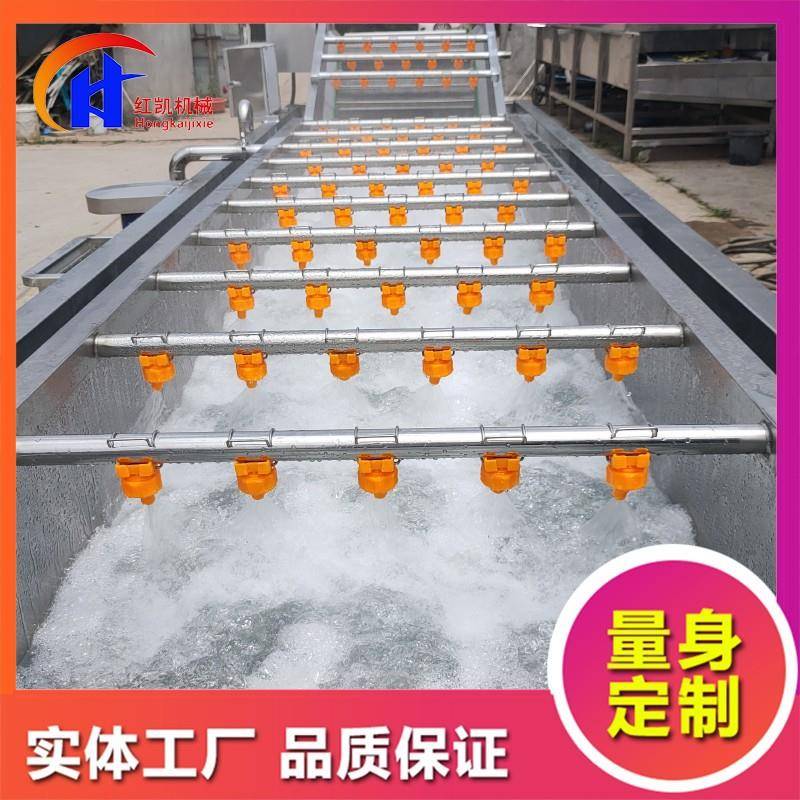 翻浪式果蔬气泡清洗机 雪梨苹果水果喷淋鼓浪清洗设备 紫薯清洗机