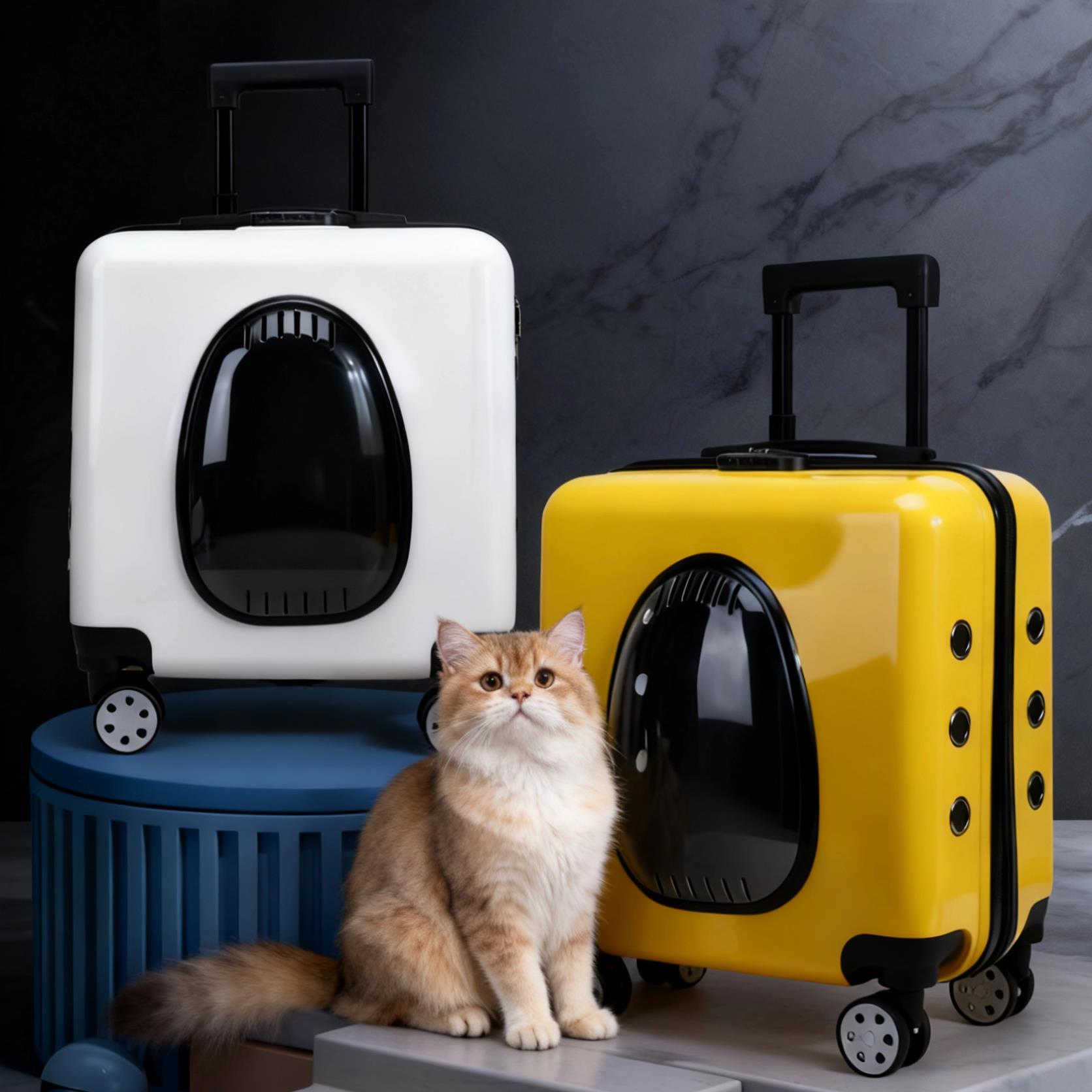 太空舱猫包背包宠物外出箱包狗包舒适透气便捷拉杆箱手提航空箱
