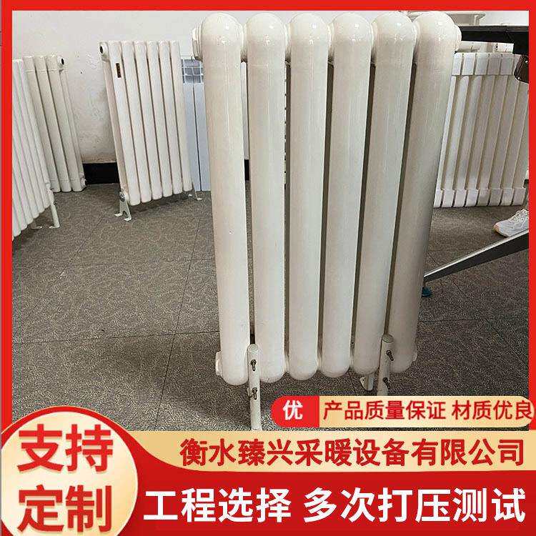 6030钢制暖气片家用全屋集中供暖钢二柱方头圆头水暖壁挂式散热器