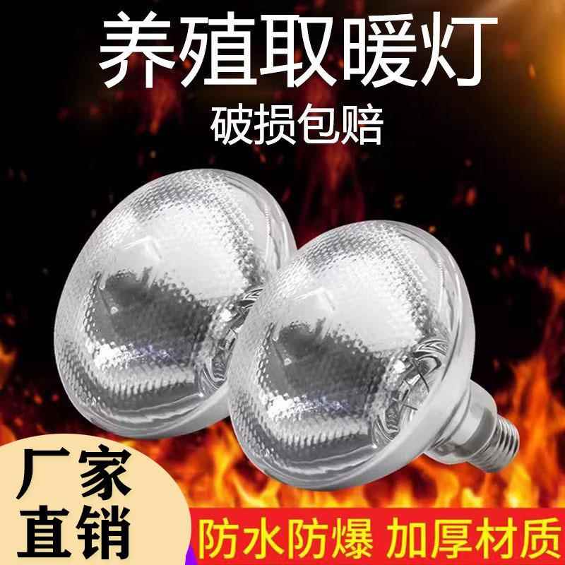 保温养殖专用取暖灯猪仔猪小鸡加热畜牧猪用育雏灯泡烤灯保暖兽用