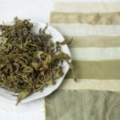 紫花地丁植物染天然染料手工扎染印染diy黄绿色系草木染材含教程