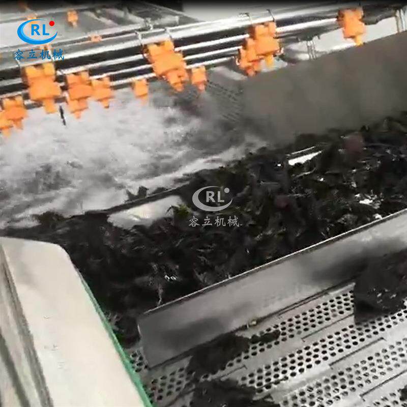 厂家供应小龙虾清洗机气泡式鱿鱼海蜇清洗设备商用海参清洗机
