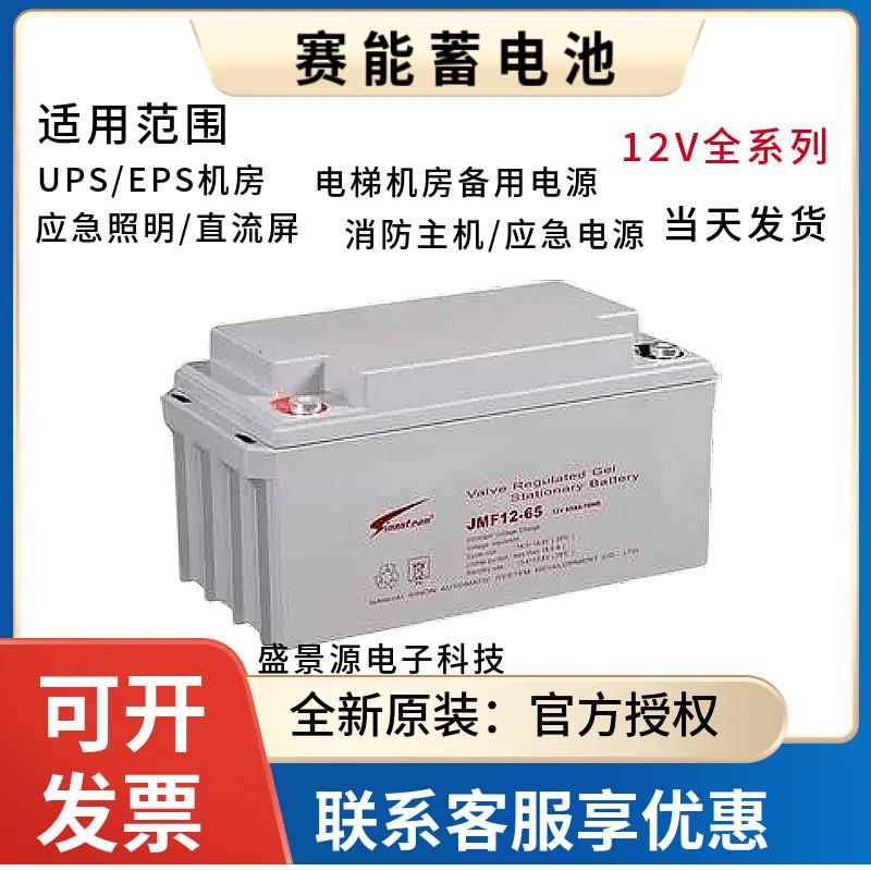 赛能蓄电池SN12V65CH 12V7A17A24A38A55A65A100AH直流屏UPS电源