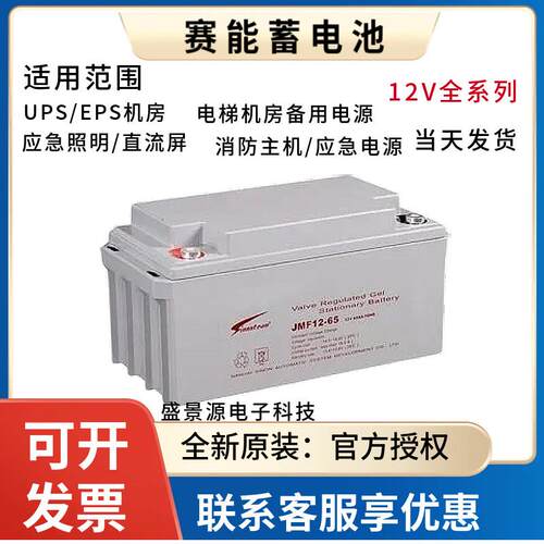 赛能蓄电池SN12V65CH 12V7A17A24A38A55A65A100AH直流屏UPS电源