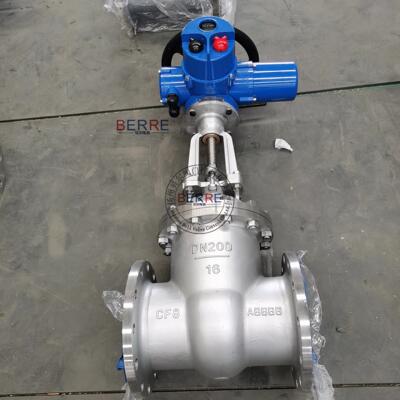 9智41动WBERRE-40C DN200能开关Z型电不锈钢闸阀