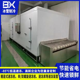速冻机猪肉羊肉牛肉速冻设备鱼类海鲜大型速冻线 全自动隧道式