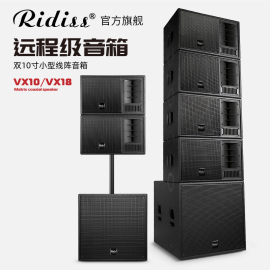 Ridiss VX10isr线阵音箱单双10寸演出婚庆户外专业舞台音响套装