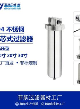 菲跃精密过滤器304不锈钢螺纹压型井水地下水芯式保安过滤器