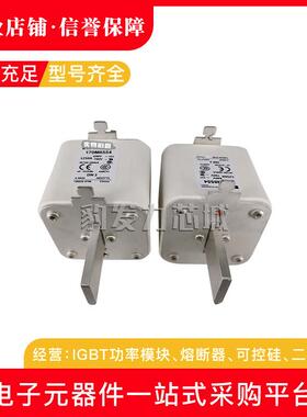 170M8500/8501/8502/8503/8504/8505/8506全新熔断器现货