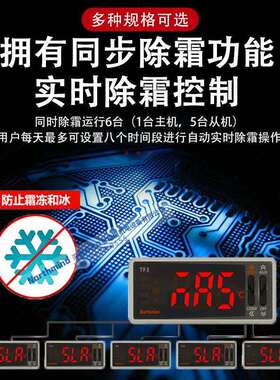 奥托尼克斯制冷型温度控制器多种便利功能远程状态监控TF33-31H-R