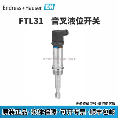 FTL31-1102/0 FTL31-AA4M2AAWBJ 德国E+H 音叉液位开关 现货