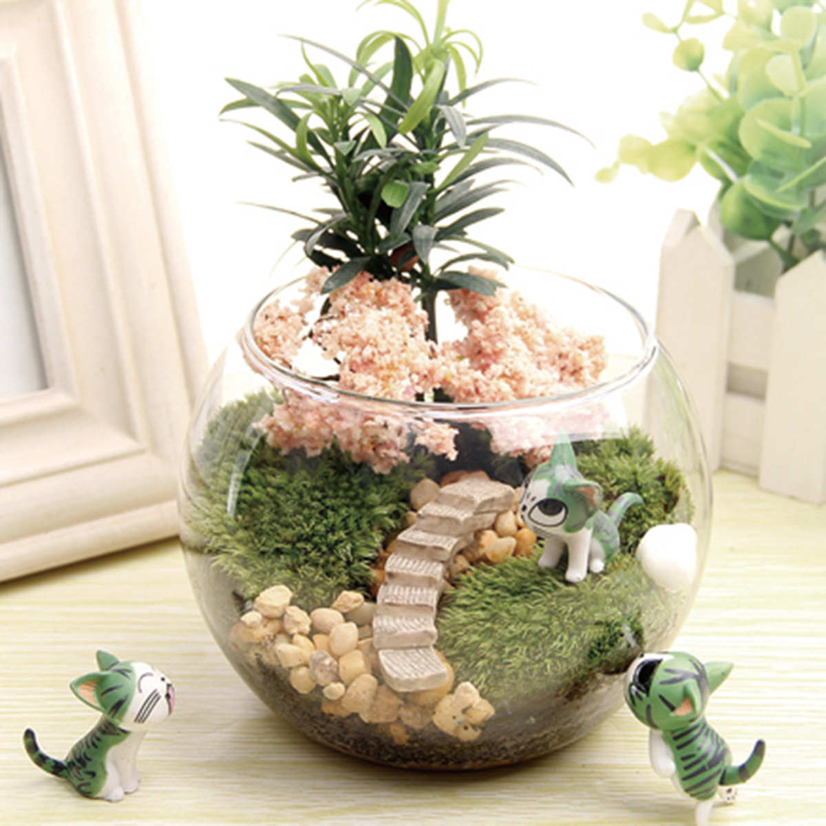 创意成品摆件造景礼品猫司微瓶家庭苔藓起 景观摆件套装苔藓 瓶