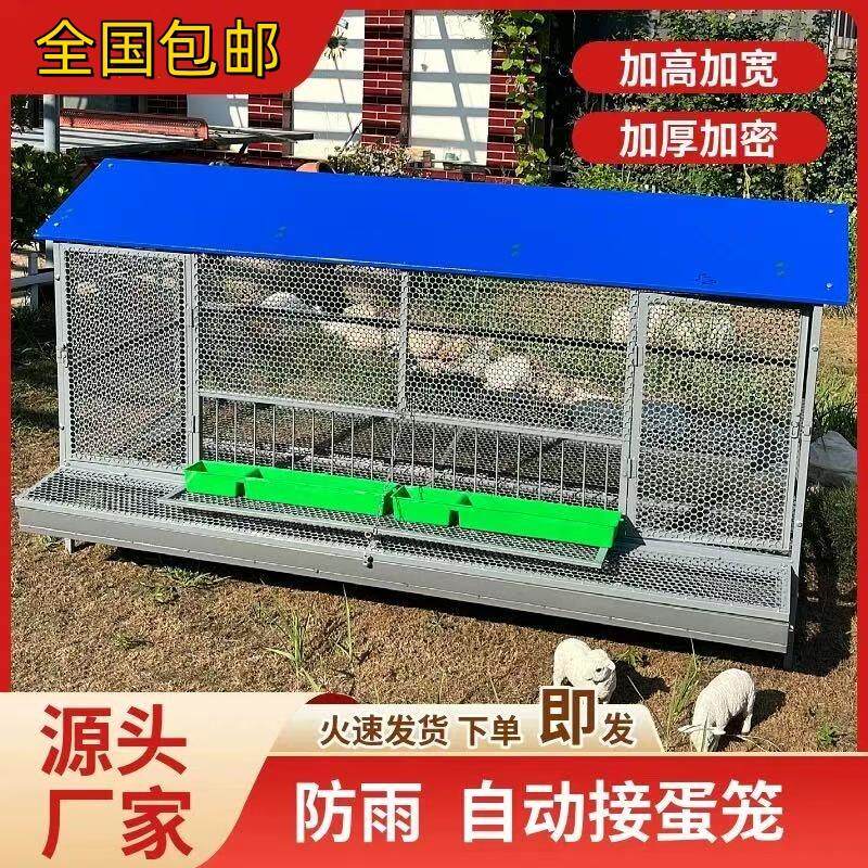 尖顶自动接蛋款室外防黄鼠狼饲养笼鸽子鸭兔不锈钢芦丁鸡密养殖笼