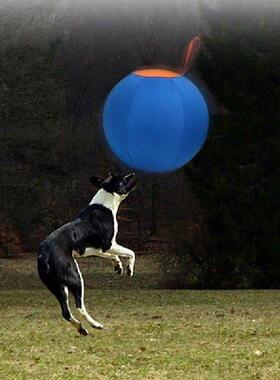 Pet Interactively Outdoor Inflatable Ball Toy Herding Ball