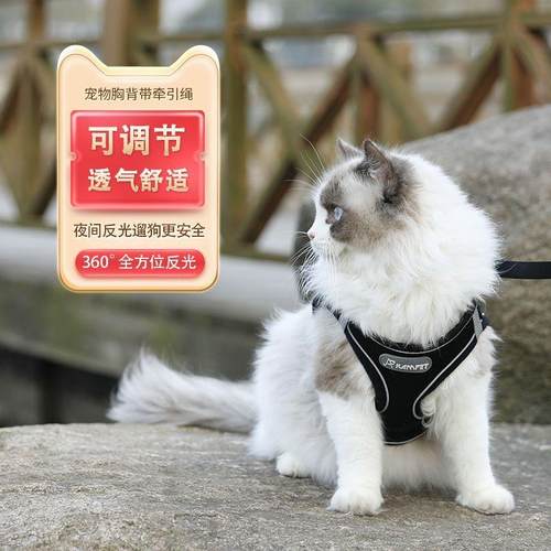 猫咪牵引绳防挣脱外出胸背带反光折耳猫中小型猫狗遛猫绳栓猫链子