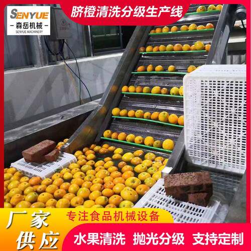 脐橙清洗风干一体机水果打蜡机全自动清洗分级生产线柑橘洗果机