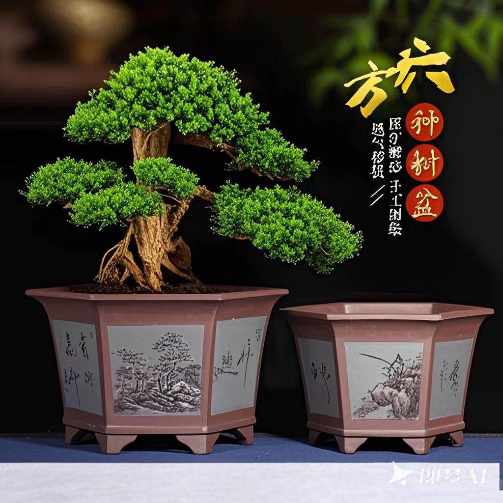 超大紫砂花盆大号特大号庭院盆景铁树花盆阳台种树盆栽陶瓷花盆