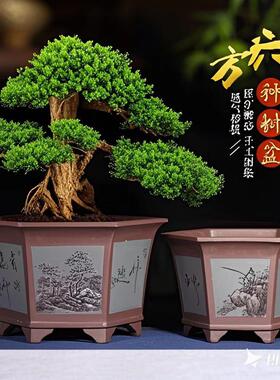 超大紫砂花盆大号特大号庭院盆景铁树花盆阳台种树盆栽陶瓷花盆