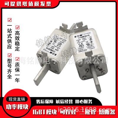 170M2658 170M2659 170M2660 170M2661巴斯曼170M2662熔断器现货