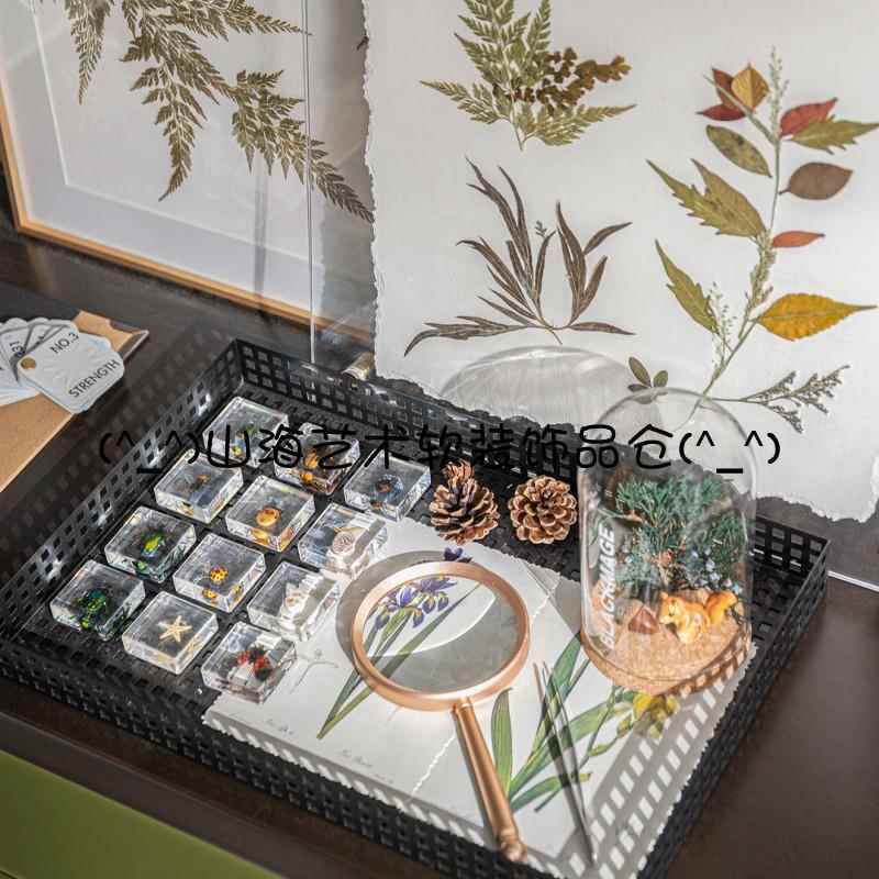 样板间手工艺实验室动植物主题昆虫花艺装饰画标本书房软装饰组合图片