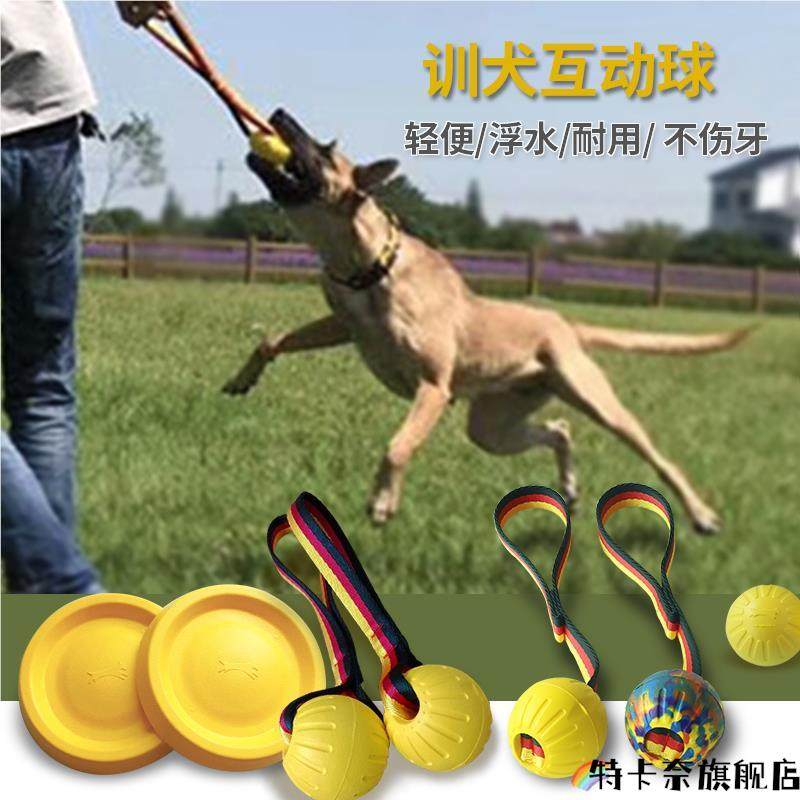 橡胶球宠物训犬球狗玩具训狗飞盘拉环响片耐咬咬棒专用马犬德牧训