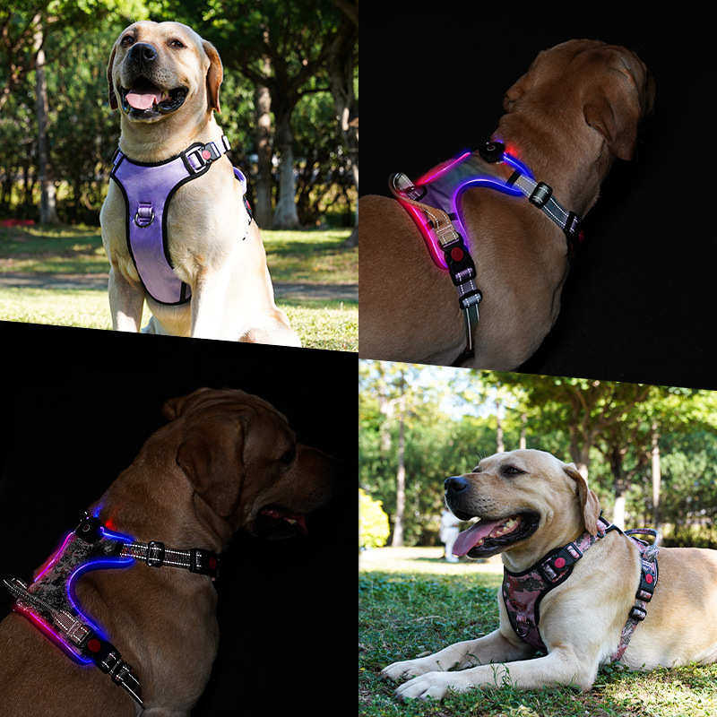 新款宠物LED灯狗狗发光胸背带中大犬夜光LED发光狗背带现货