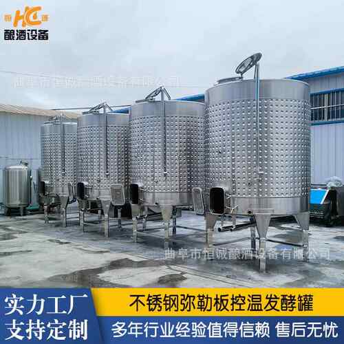 水果酒发酵罐 立式葡萄酒发酵罐 控温电加热发酵罐米酒发酵罐