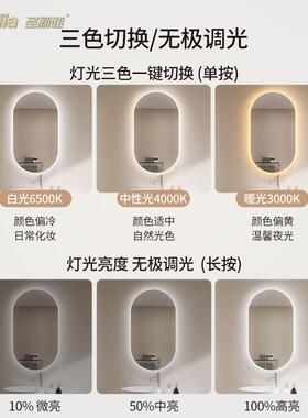 浴室ZSO智防能镜椭圆跑道触摸雾卫e生间壁挂家用l发d灯光镜子