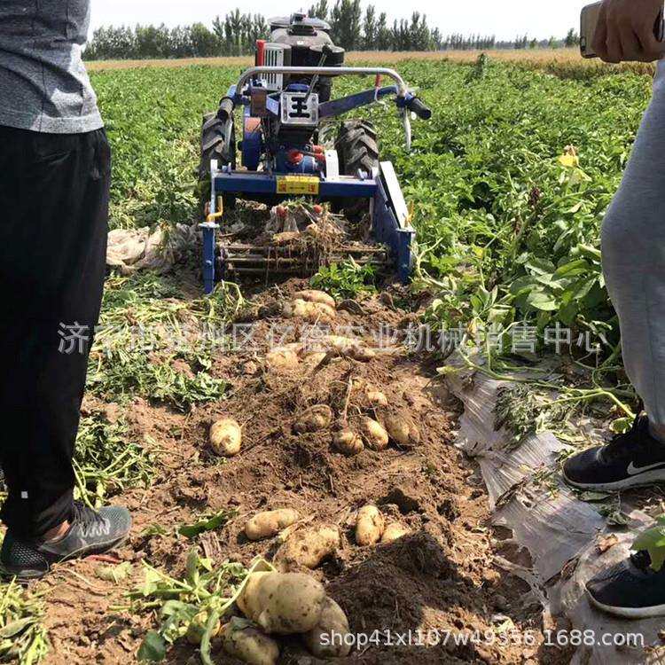 花生收获震动款土豆地瓜收获机一垄两行手扶车配套洋芋萝卜收获机