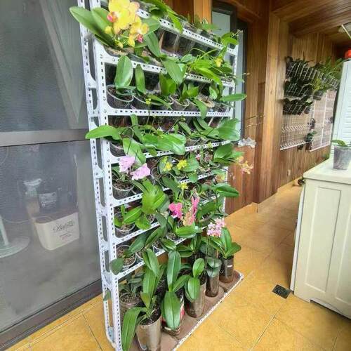 花架客厅2024新款室内兰花专用展示架铁艺落地式靠墙置物架花架子