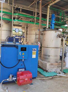 0.5T燃气蒸汽发生器 MVR污水处理燃油蒸汽发生器 免报验蒸汽锅炉