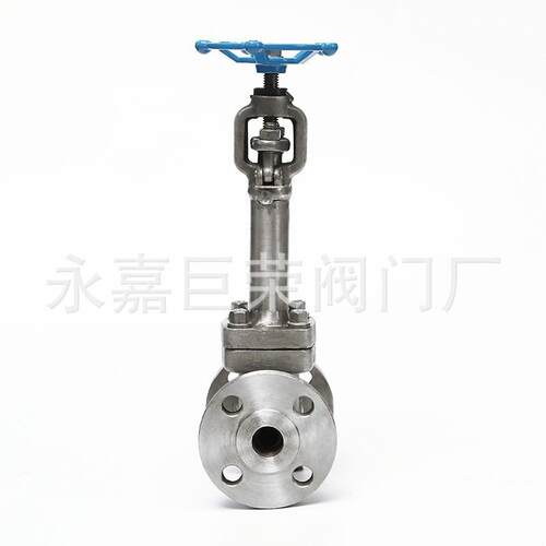 DJ41W-16-100P 截止阀304材质低温加长阀杆截止阀南阀门