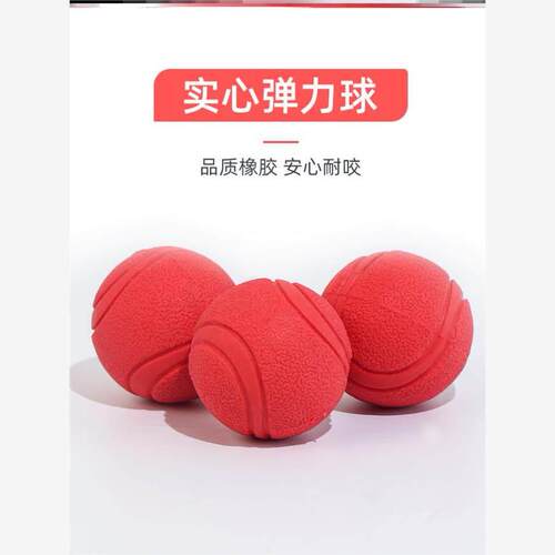 Dog toy ball Bounce ball teethgrinding pet dog training ball