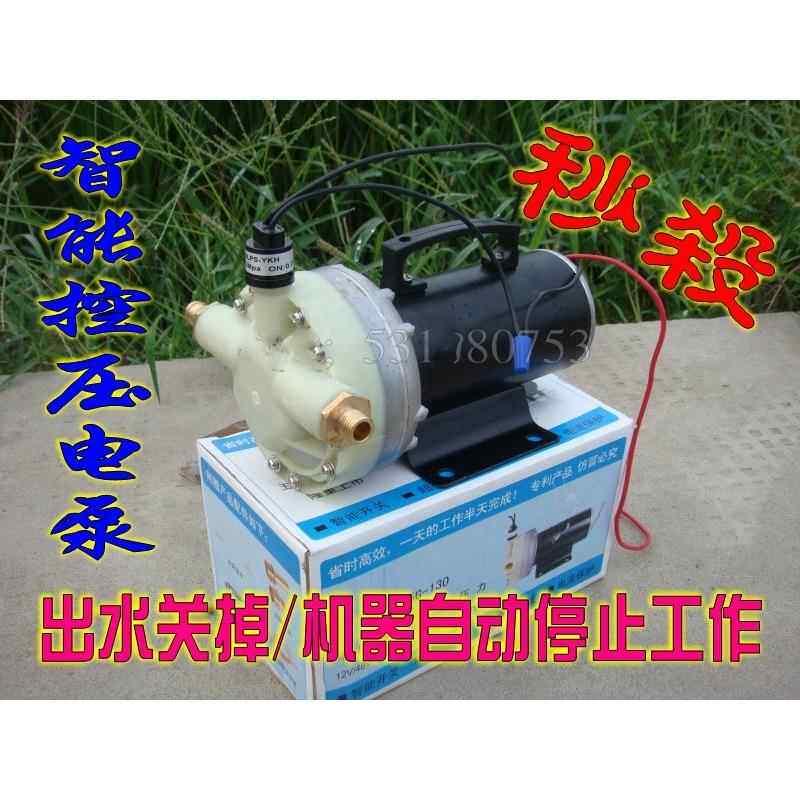 12V/24V/48V超高压迷你洗车泵/直流大功率洗车器水泵控压隔膜泵