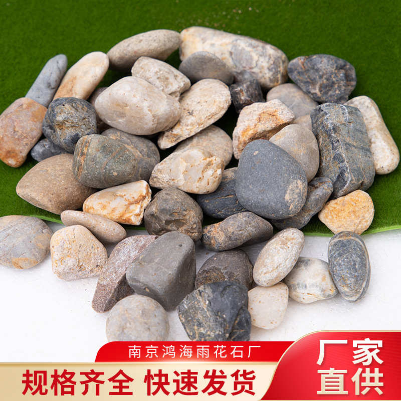 豆小石子料地铺路鹅卵石滤家装石水洗建材处理暖 批发专用石子水