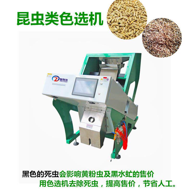 黄粉虫色选机面包虫黑水虻筛选机大麦虫蚕蛹分选机去黑虫死虫设备