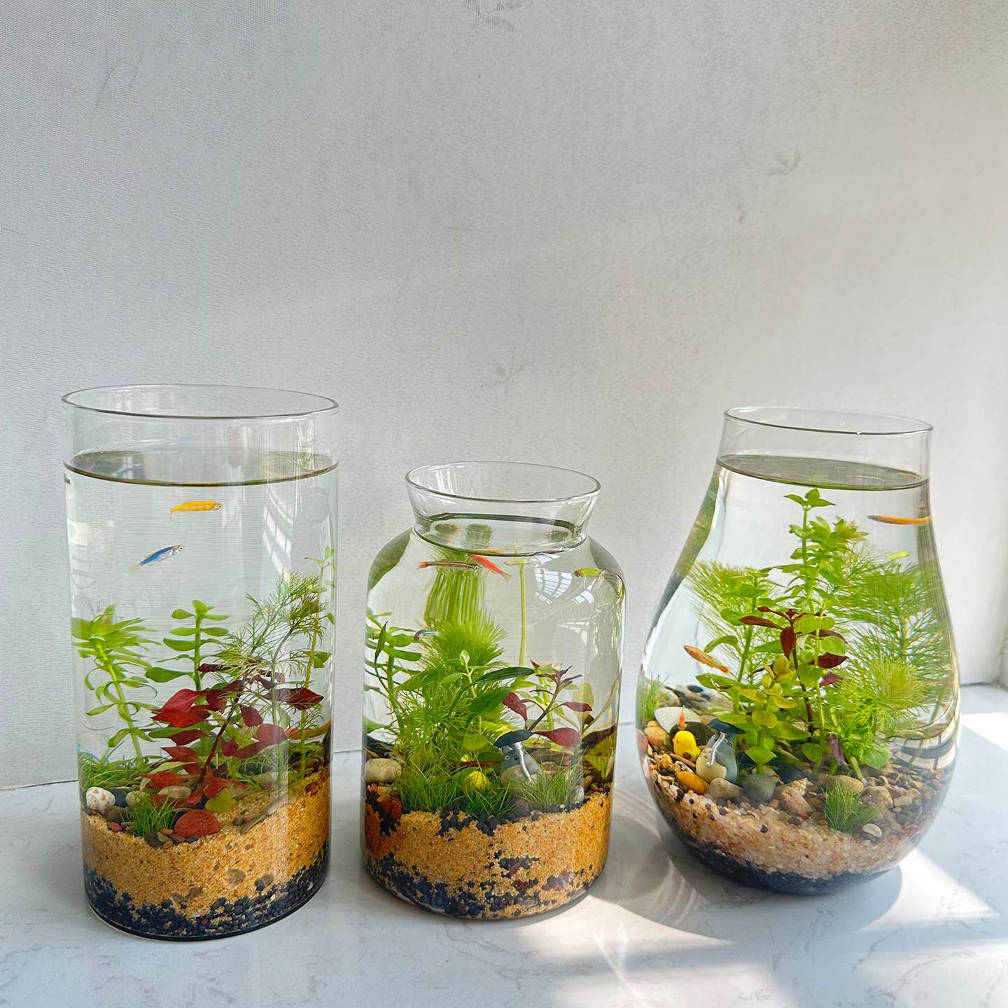 生态瓶带灯水草小鱼缸办公桌面微景观diy创意情侣礼物小虾缸微缸