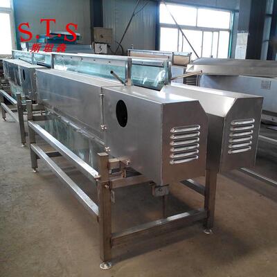 卧式调速头颈脱毛机价格鸡鸭鹅全自动头脖脱毛机厂家定制直销