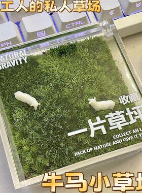 手里有块地牛马私人草坪工位桌面绿植苔藓微景观解压摆件治愈礼物