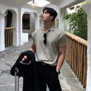 男士宽松翻领短袖polo衫夏季新款高级感灰色针织商务修身简约T恤