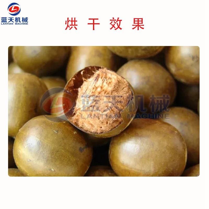 广西桂林罗汉果烘干机 智能控温罗汉果茶烘干箱 汗果假苦瓜烘干机