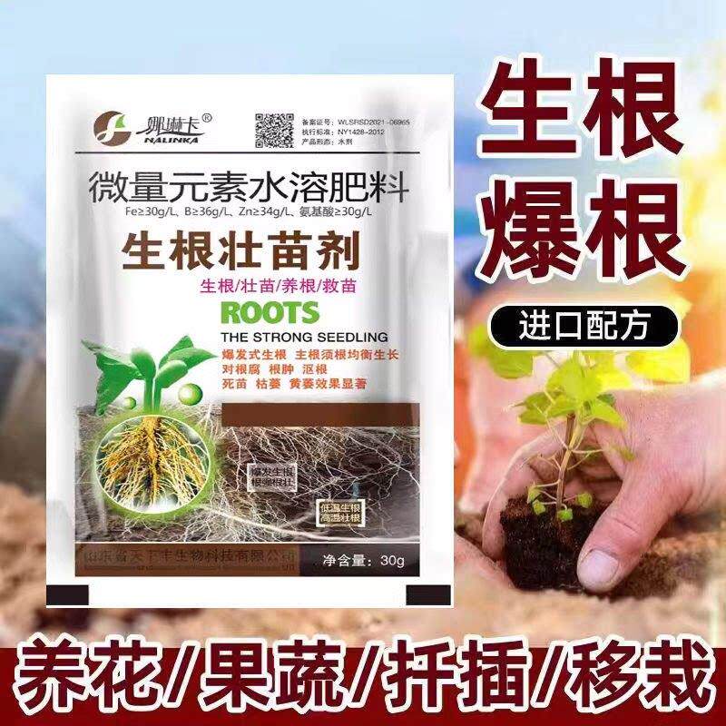 强力生根粉通用型花卉果树树苗移栽育苗枝条快速生根液插花月季花