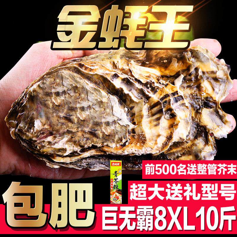 乳山大号生蚝 特级带壳鲜活牡蛎10斤装 海鲜水产生蚝