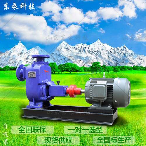 工厂直供大流量自吸排污泵ZW卧式离心泵铸铁排污泵山东东泵