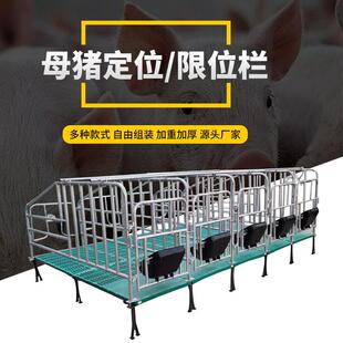 母猪定位栏限位栏猪圈围栏复合漏粪板母猪产床养猪用设备保育包邮