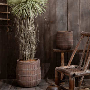 径器托盘叶篮子榕泥带葵落地大口尾孔雀盆镁花盆滚轮型散藤编木琴