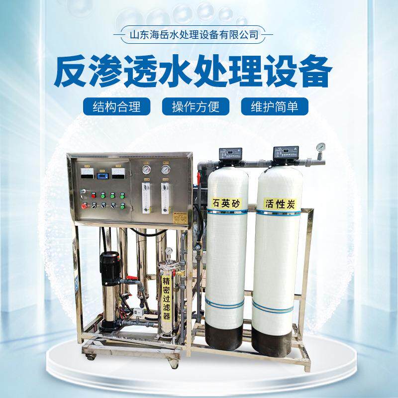 RO反渗透纯水处理设备单双级净水处理设备商用直饮纯水机